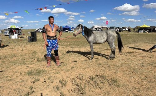 Өвөрмонгол бөхийн барилдаанд Д.Төрболд түрүүлжээ